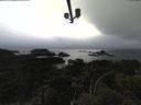 ./images/calvert/lookout/20210508/lookout20210508_194501.jpg