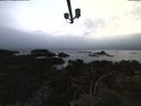 ./images/calvert/lookout/20210508/lookout20210508_211501.jpg