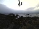 ./images/calvert/lookout/20210508/lookout20210508_212001.jpg