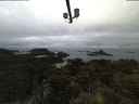 ./images/calvert/lookout/20210509/lookout20210509_052501.jpg