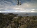 ./images/calvert/lookout/20210509/lookout20210509_103501.jpg