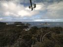 ./images/calvert/lookout/20210509/lookout20210509_111002.jpg