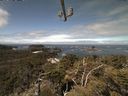 ./images/calvert/lookout/20210509/lookout20210509_113501.jpg