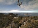 ./images/calvert/lookout/20210509/lookout20210509_114501.jpg