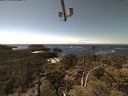 ./images/calvert/lookout/20210509/lookout20210509_141001.jpg