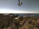 ./images/calvert/lookout/20210509/lookout20210509_141501.jpg