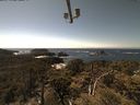 ./images/calvert/lookout/20210509/lookout20210509_144501.jpg