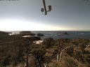 ./images/calvert/lookout/20210509/lookout20210509_151002.jpg
