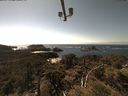 ./images/calvert/lookout/20210509/lookout20210509_152502.jpg
