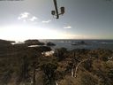 ./images/calvert/lookout/20210509/lookout20210509_154501.jpg