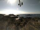./images/calvert/lookout/20210509/lookout20210509_162501.jpg
