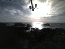 ./images/calvert/lookout/20210509/lookout20210509_184502.jpg