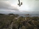 ./images/calvert/lookout/20210510/lookout20210510_082001.jpg