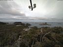 ./images/calvert/lookout/20210510/lookout20210510_082501.jpg