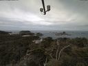 ./images/calvert/lookout/20210510/lookout20210510_095502.jpg