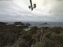 ./images/calvert/lookout/20210510/lookout20210510_103501.jpg