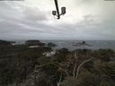 ./images/calvert/lookout/20210510/lookout20210510_104501.jpg