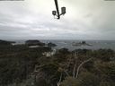 ./images/calvert/lookout/20210510/lookout20210510_111502.jpg