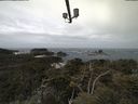 ./images/calvert/lookout/20210510/lookout20210510_112502.jpg