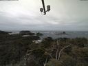 ./images/calvert/lookout/20210510/lookout20210510_114502.jpg