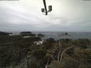 ./images/calvert/lookout/20210510/lookout20210510_115001.jpg