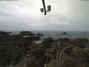 ./images/calvert/lookout/20210510/lookout20210510_115501.jpg