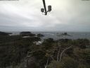 ./images/calvert/lookout/20210510/lookout20210510_120001.jpg