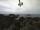 ./images/calvert/lookout/20210510/lookout20210510_120501.jpg