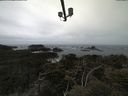 ./images/calvert/lookout/20210510/lookout20210510_121001.jpg