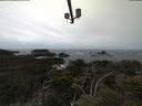 ./images/calvert/lookout/20210510/lookout20210510_123501.jpg