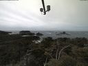 ./images/calvert/lookout/20210510/lookout20210510_124001.jpg