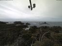 ./images/calvert/lookout/20210510/lookout20210510_124501.jpg