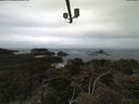 ./images/calvert/lookout/20210510/lookout20210510_131002.jpg
