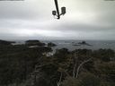 ./images/calvert/lookout/20210510/lookout20210510_131502.jpg