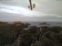 ./images/calvert/lookout/20210511/lookout20210511_061001.jpg
