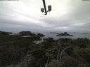 ./images/calvert/lookout/20210511/lookout20210511_080002.jpg