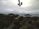 ./images/calvert/lookout/20210511/lookout20210511_082002.jpg
