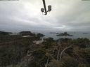 ./images/calvert/lookout/20210511/lookout20210511_084002.jpg