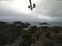 ./images/calvert/lookout/20210511/lookout20210511_085001.jpg