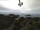 ./images/calvert/lookout/20210511/lookout20210511_091001.jpg