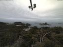 ./images/calvert/lookout/20210511/lookout20210511_092501.jpg