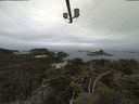 ./images/calvert/lookout/20210511/lookout20210511_094501.jpg