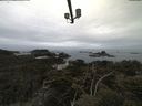 ./images/calvert/lookout/20210511/lookout20210511_095001.jpg