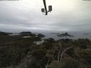 ./images/calvert/lookout/20210511/lookout20210511_095501.jpg