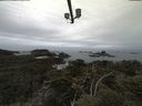 ./images/calvert/lookout/20210511/lookout20210511_100002.jpg