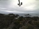 ./images/calvert/lookout/20210511/lookout20210511_101002.jpg