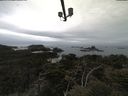 ./images/calvert/lookout/20210511/lookout20210511_102502.jpg