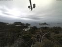 ./images/calvert/lookout/20210511/lookout20210511_103502.jpg