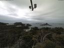 ./images/calvert/lookout/20210511/lookout20210511_104002.jpg
