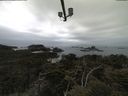 ./images/calvert/lookout/20210511/lookout20210511_104501.jpg